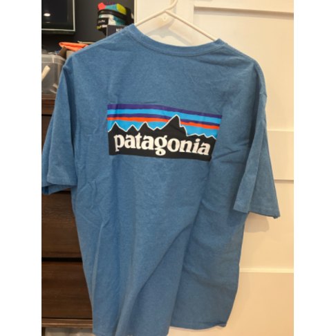 Patagonia T-Shirt Men's L